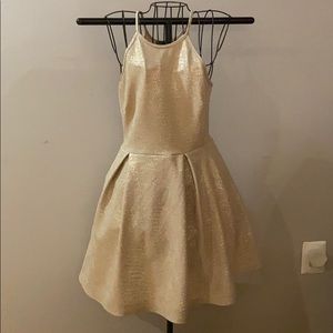 Glitter Dress